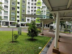 Blk 808C Ping Yi Greens (Bedok), HDB 4 Rooms #511850541